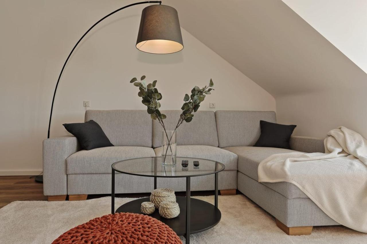 'Traveller Lodge' Grosszuegiges Apartment - 3 Bedroom 10Min To Hbf, Full Kitchen, Homeoffice, Netflix, Wifi Dusseldorf Luaran gambar